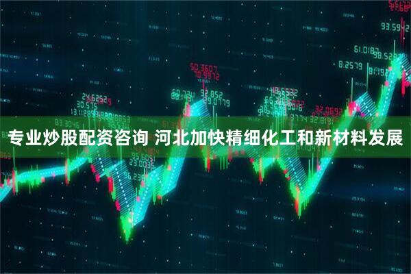 专业炒股配资咨询 河北加快精细化工和新材料发展