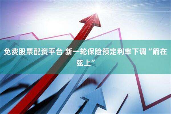 免费股票配资平台 新一轮保险预定利率下调“箭在弦上”