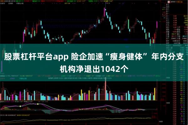 股票杠杆平台app 险企加速“瘦身健体” 年内分支机构净退出1042个